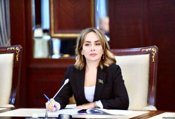 “Mülki missiya” adı altında destruktiv qüvvələrin bölgəyə yerləşməsi hibrid təhdidlərin tərkib hissəsidir – Deputat