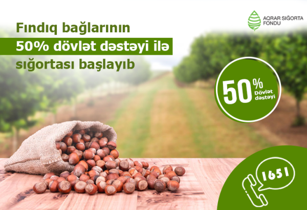 Azərbaycanda fındıq bağlarının dövlət dəstəyi ilə sığortasına başlanılıb