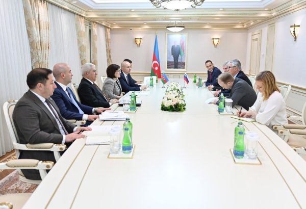 Azərbaycan və Sloveniya arasında iqtisadi əlaqələrin inkişafı və qarşılıqlı ticarətin genişləndirilməsi müzakirə edilib (FOTO)