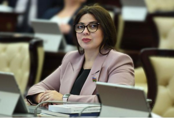 TÜRKPA üzvləri arasında müdafiə və təhlükəsizlik strategiyasının hazırlanması təklif edilib