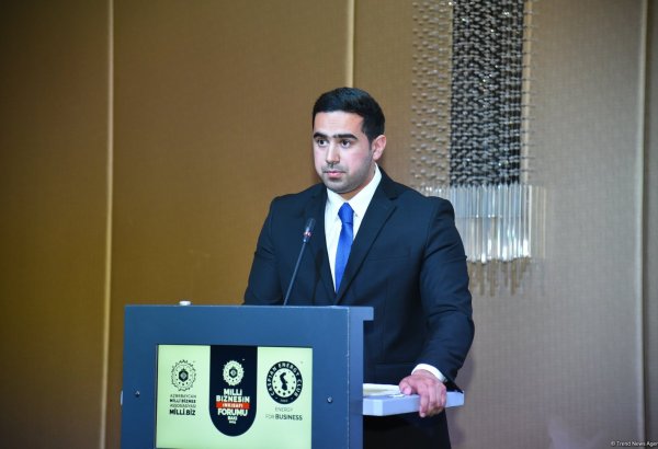 AAYDA azad olunmuş ərazilərdə görülən və planlaşdırılan işləri açıqladı