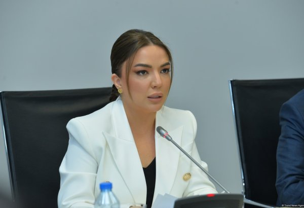Azərbaycan QHT-ləri Qlobal Cənub regionu ölkələrinin QHT-ləri ilə yeni əlaqələr quracaqlar - Aygün Əliyeva