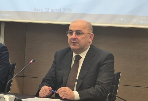 Hər kəs gömrük ödənişlərində həvəsli olmalıdır - Şahin Bağırov