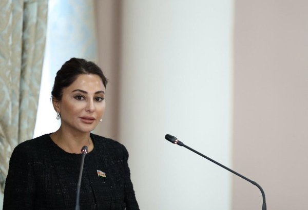 Əminə Ağazadə Sankt-Peterburqda model qanun layihələri ilə bağlı məruzə edib (FOTO/VİDEO)