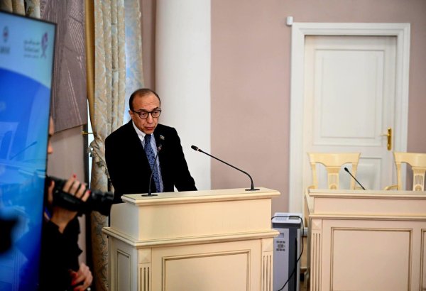 Nizami Səfərov beynəlxalq konfransda çıxış edib (FOTO)