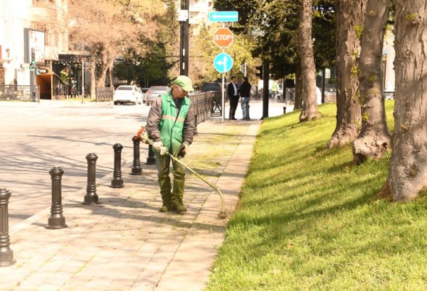 Paytaxtda növbəti dəfə geniş təmizlik işləri aparılıb (FOTO)