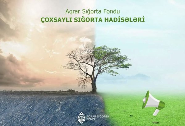 Hava şəraitinin dəyişməsi ilə əlaqədar təsərrüfatlara zərər dəyməsi barədə ASF-yə 76 müraciət daxil olub