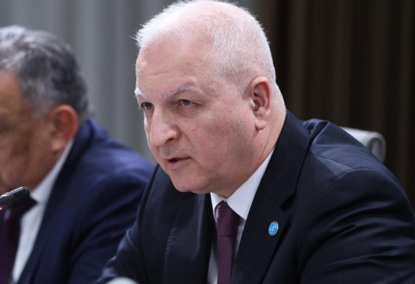 Beynəlxalq Türk Akademiyası türk dövlətləri arasında elm və təhsil sahələrində əməkdaşlığa səy göstərir - Şahin Mustafayev