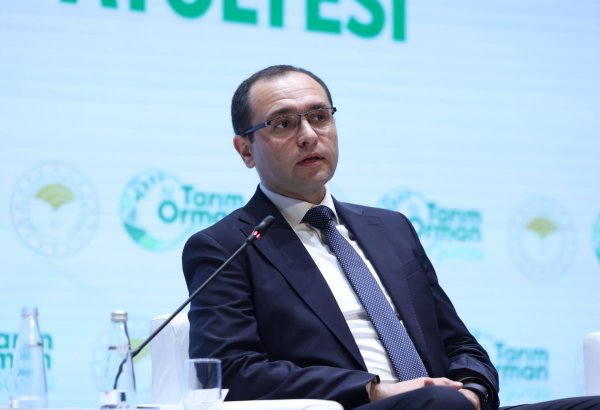 Azərbaycan aqrar sahədə Türkiyənin təcrübəsindən fəal şəkildə yararlanır – Nazir