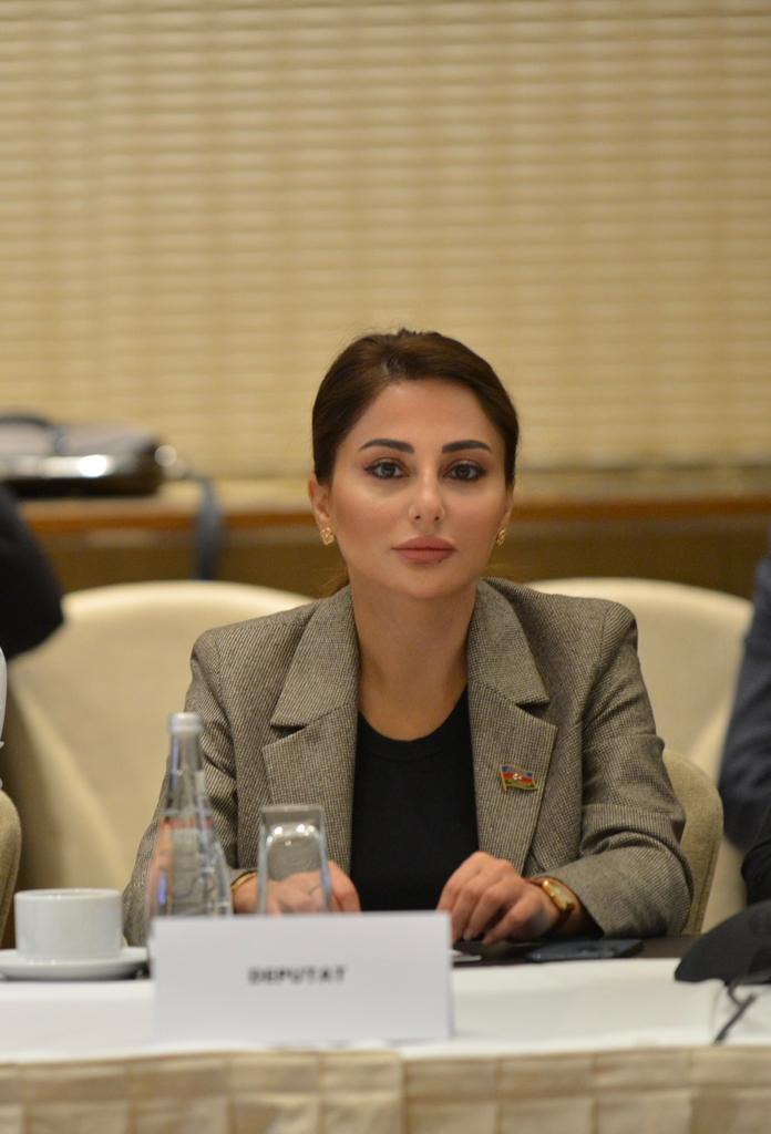 Azərbaycan Çin üçün önəmli tərəfdaşdır