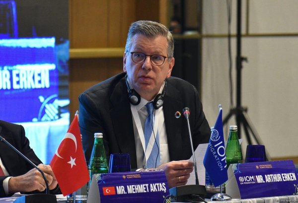 IOM Bakı bəyannaməsini miqrasiya sahəsində əməkdaşlığın genişləndirilməsinə doğru atılmış addım kimi qiymətləndirir