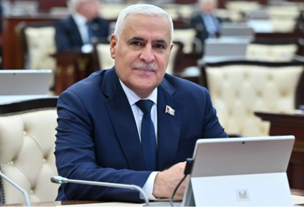 Azərbaycan-Çin münasibətlərinin hərtərəfli strateji tərəfdaşlıq səviyyəsinə yüksəlməsi mühüm siyasi hadisədir - Vüqar Rəhimzadə