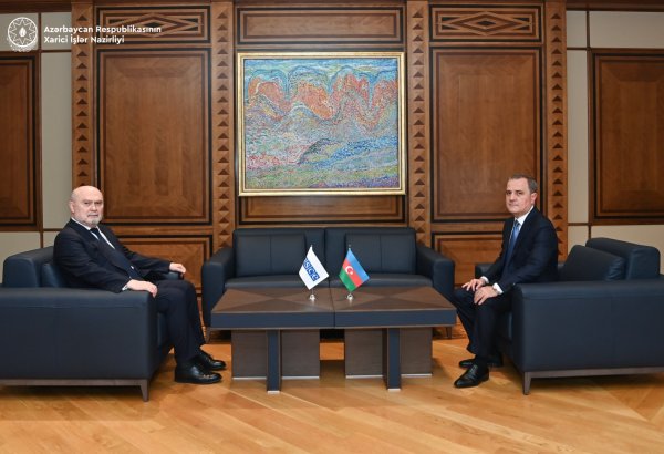 Azərbaycan-ATƏT əməkdaşlığının vəziyyəti və perspektivləri müzakirə edilib (FOTO) (YENİLƏNİB)