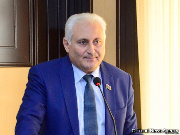 Tarixi abidələrin qorunmasına nəzarət sahəsində İctimai Şura yaradılmalıdır – Millət vəkili