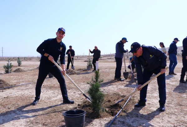 Prokurorluq əməkdaşları növbəti ağacəkmə kampaniyası keçirib (FOTO)