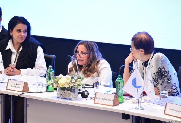 Fiziki məhdudiyyətləri olan insanlar QHT-lərin fəal iştirakçılarına çevrilməlidirlər - senat komitəsinin sədri