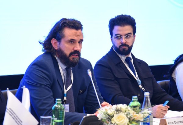 Azərbaycan Cənubi Qafqazda sülh və sabitliyi bərpa edib - Xorvatiyalı ekspert