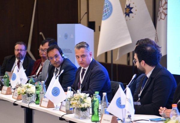 Qlobal Cənub QHT platforması Dayanıqlı İnkişaf Məqsədlərinə nail olmaqda tərəqqinin katalizatoruna çevrilə bilər - BMT nümayəndəsi