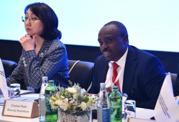 Qlobal Cənub dayanıqlı inkişaf üçün nəhəng potensiala malikdir - Panafrika alyansının nümayəndəsi