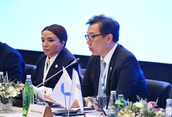UN DESA nümayəndəsi Dayanıqlı İnkişaf Məqsədlərinin gerçəkləşdirilməsi baxımından Cənub-Cənub əməkdaşlığının vacibliyini vurğulayıb