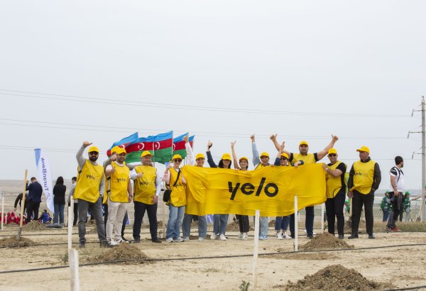 Yelo Bank ölkəmizin yaşıllaşdırılmasına öz töhfəsini verdi (FOTO)
