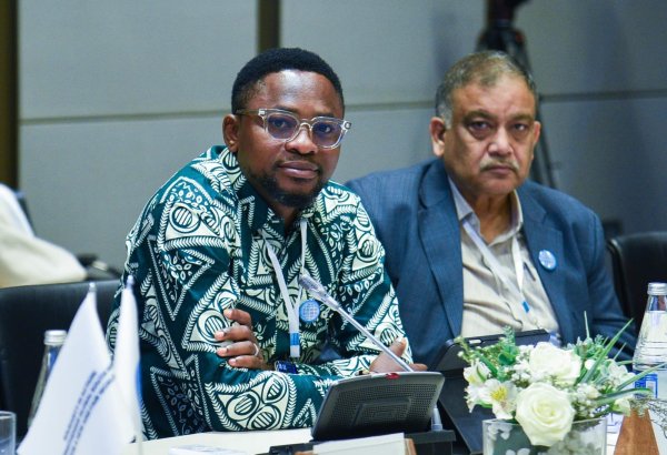 D8 ölkələri arasında əməkdaşlığı aktivləşdirmək lazımdır  - Nigeriyadan olan fəal