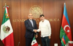 Elçin Əmirbəyov Meksika Senatında olub (FOTO)