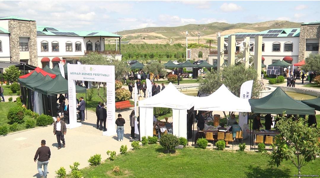 Zəngilanda Aqrar Biznes Festivalı keçirilib (FOTO)