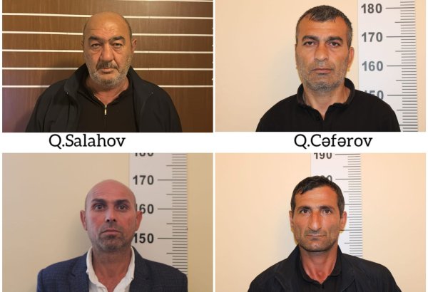 Salyanda narkotik tərkibli bitkilər yetişdirən 4 nəfər saxlanılıb (FOTO)