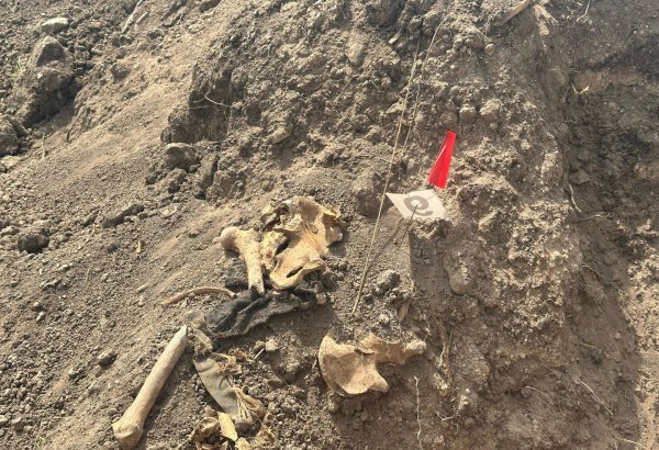 Xocalıda daha bir kütləvi məzarlıq aşkarlandı (FOTO)