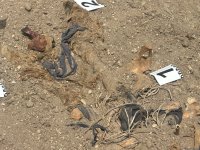 Xocalıda daha bir kütləvi məzarlıq aşkarlandı (FOTO)