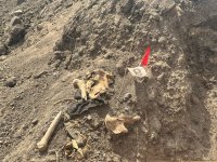 Xocalıda daha bir kütləvi məzarlıq aşkarlandı (FOTO)