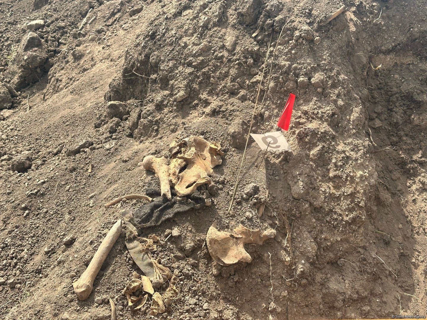 Xocalıda daha bir kütləvi məzarlıq aşkarlandı (FOTO)