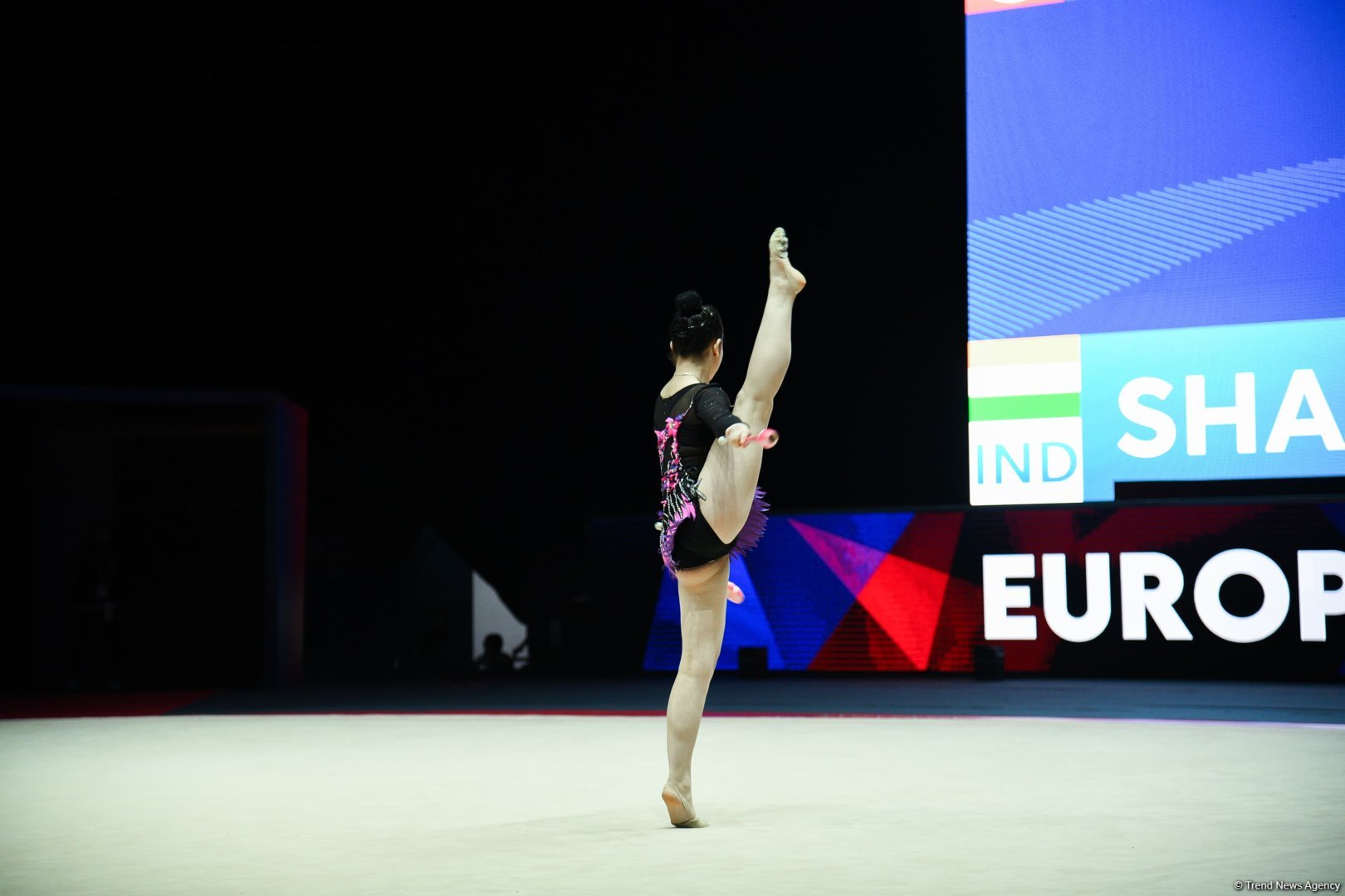 Bakıda “Bədii gimnastika üzrə Avropa kuboku”nun ikinci günü keçirilir (FOTO)