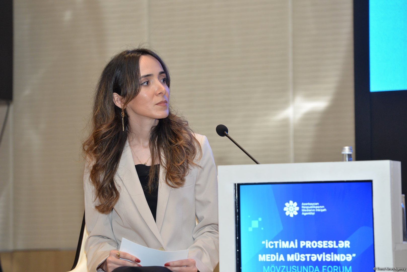 “Konstitusiya və Suverenlik İli”ndə media gündəmi”nə həsr olunan panel sessiya keçirilib