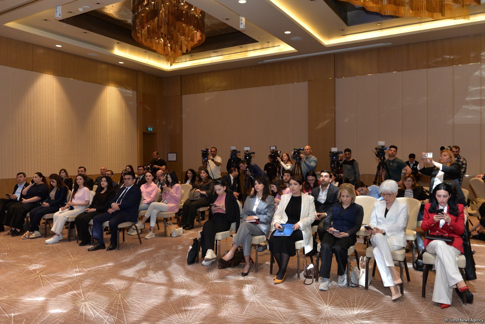 “Konstitusiya və Suverenlik İli”ndə media gündəmi”nə həsr olunan panel sessiya keçirilib