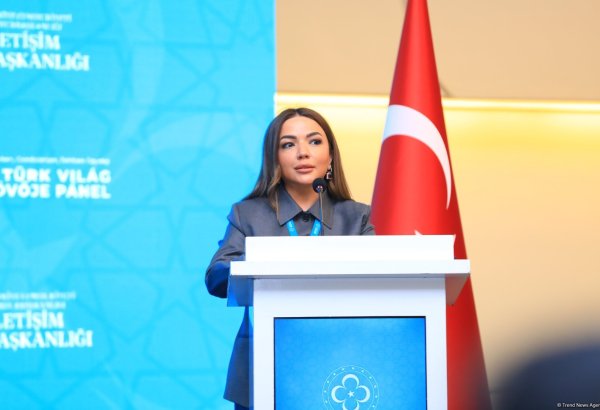 Türk dünyasının birliyini qorumaq hər birimizin borcudur - Aygün Əliyeva