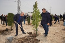 Ümummilli lider Heydər Əliyevin doğum günü münasibətilə ağacəkmə tədbiri keçirilib (FOTO)