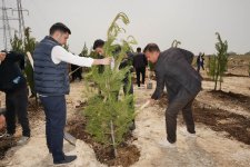 Ümummilli lider Heydər Əliyevin doğum günü münasibətilə ağacəkmə tədbiri keçirilib (FOTO)