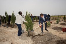 Ümummilli lider Heydər Əliyevin doğum günü münasibətilə ağacəkmə tədbiri keçirilib (FOTO)