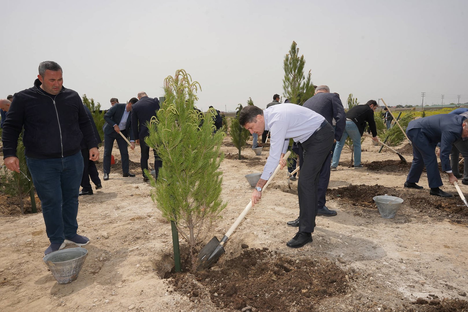 Ümummilli lider Heydər Əliyevin doğum günü münasibətilə ağacəkmə tədbiri keçirilib (FOTO)