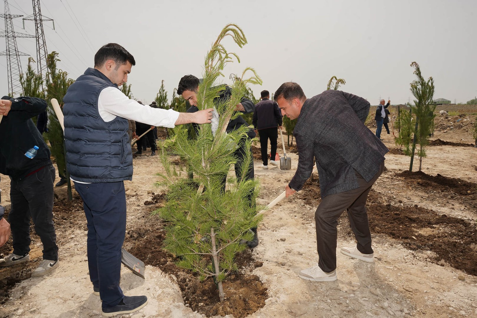 Ümummilli lider Heydər Əliyevin doğum günü münasibətilə ağacəkmə tədbiri keçirilib (FOTO)