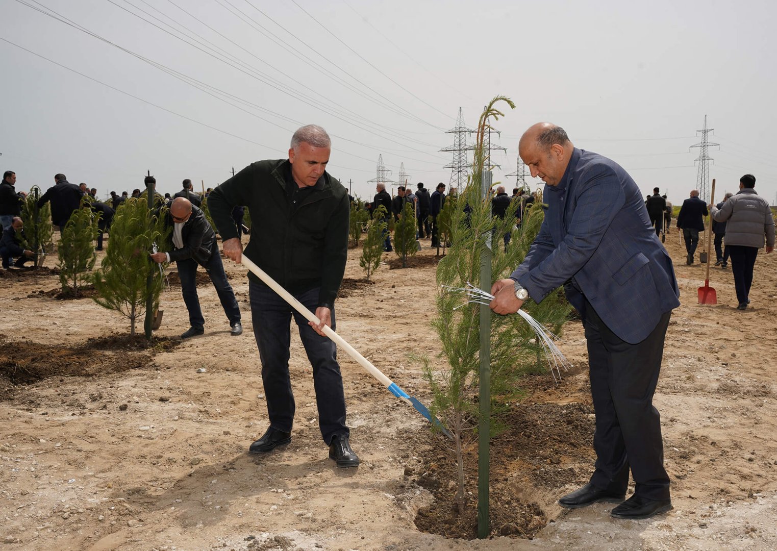 Ümummilli lider Heydər Əliyevin doğum günü münasibətilə ağacəkmə tədbiri keçirilib (FOTO)