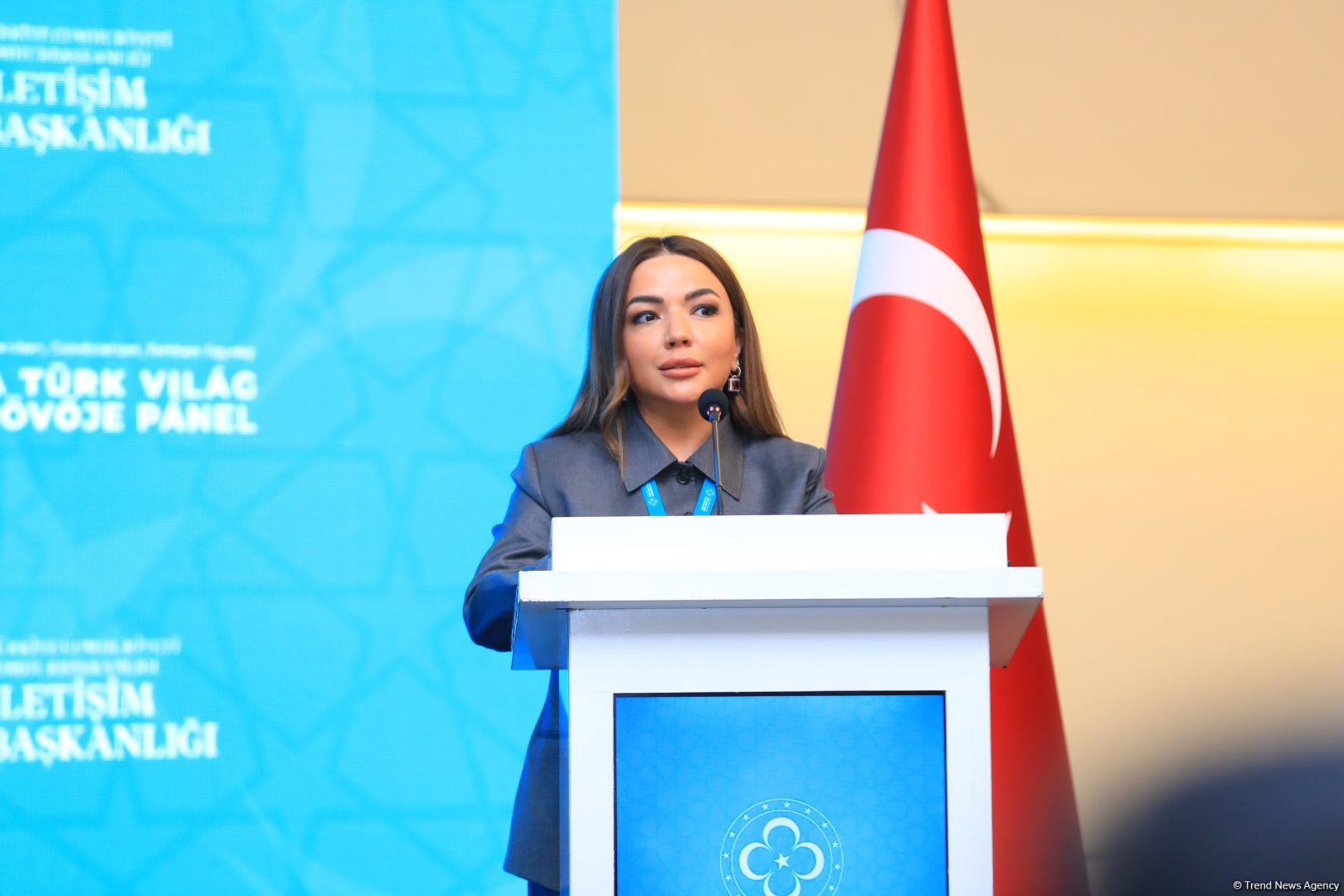 Türk dünyasının birliyini qorumaq hər birimizin borcudur - Aygün Əliyeva