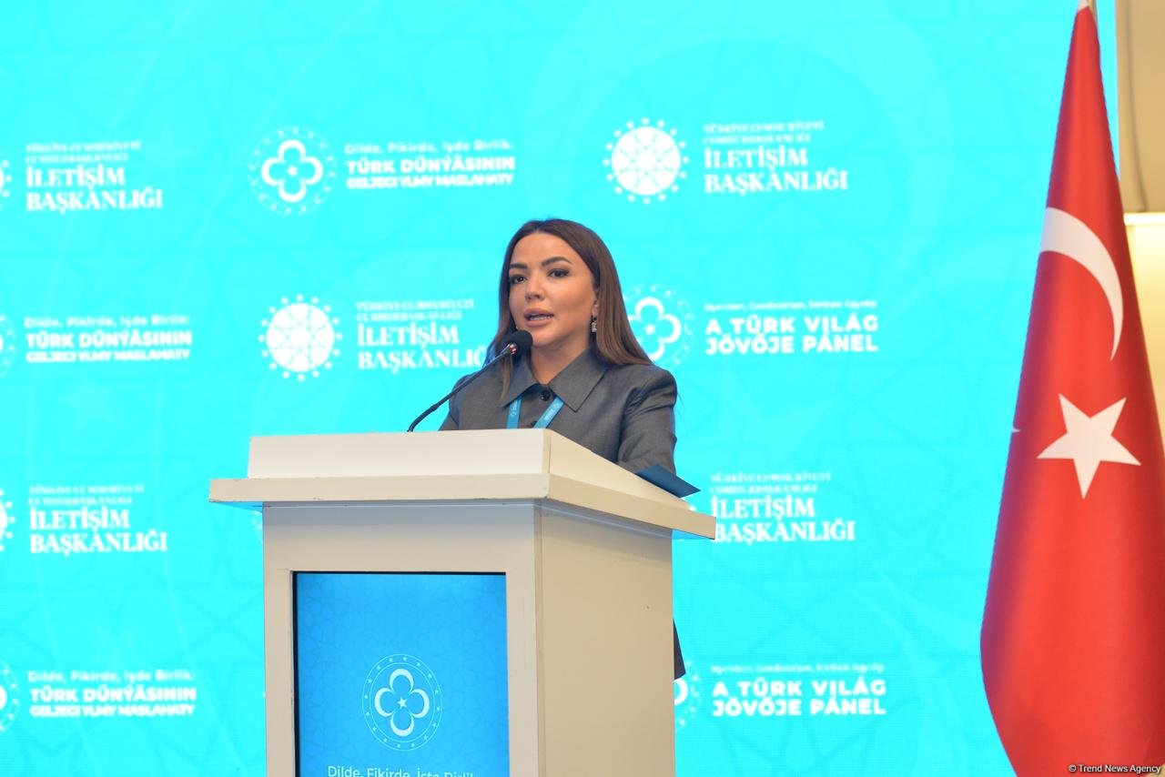 Bakıda “Dildə, Fikirdə, Əməldə Birlik: Türk Dünyasının Gələcəyi’’ adlı panel keçirilib (FOTO)