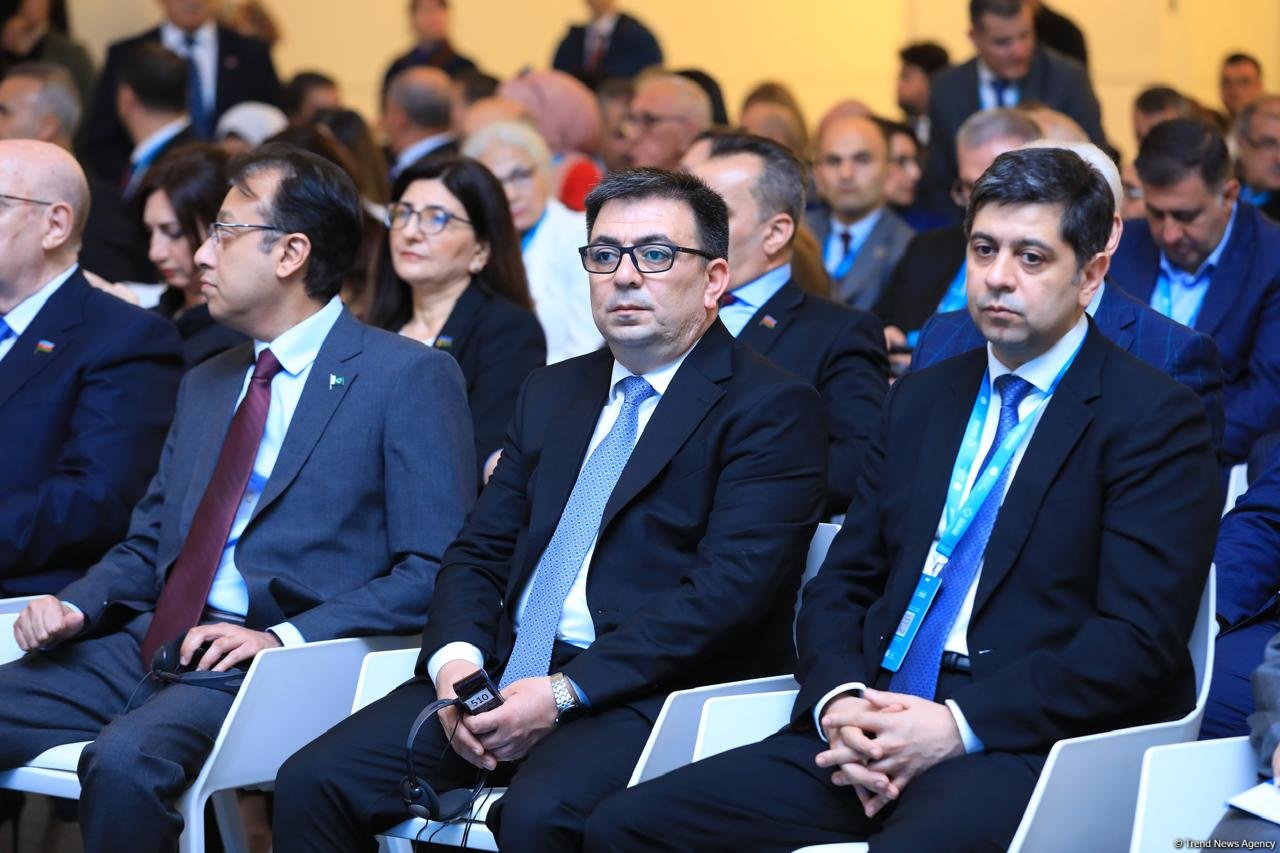 Bakıda “Dildə, Fikirdə, Əməldə Birlik: Türk Dünyasının Gələcəyi’’ adlı panel keçirilib (FOTO)