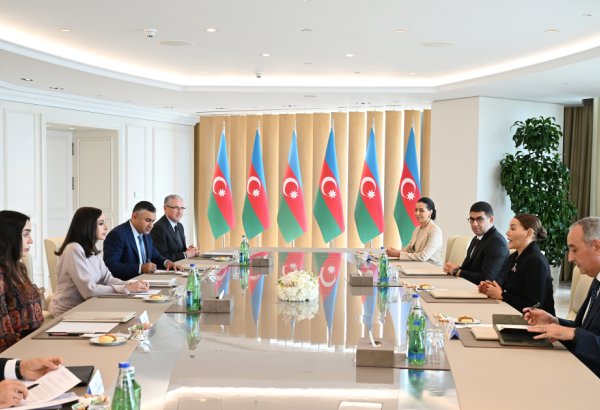 Azərbaycanın Birinci vitse-prezidenti Mehriban Əliyeva Mərakeşin xanım Şahzadəsi Lalla Hasnaa ilə görüşüb (FOTO/VİDEO)
