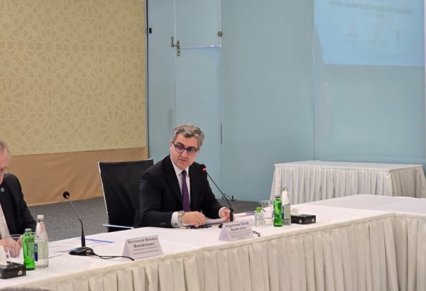 Azərbaycan və Belarus arasında ticari-iqtisadi əlaqələr artım nümayiş etdirir - AZPROMO