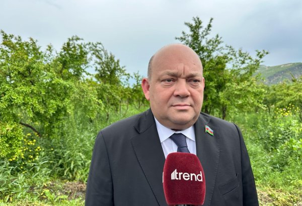 Belarus şirkətləri ilə ildə təxminən 700-800 traktor istehsal edirik – Xanlar Fətiyev