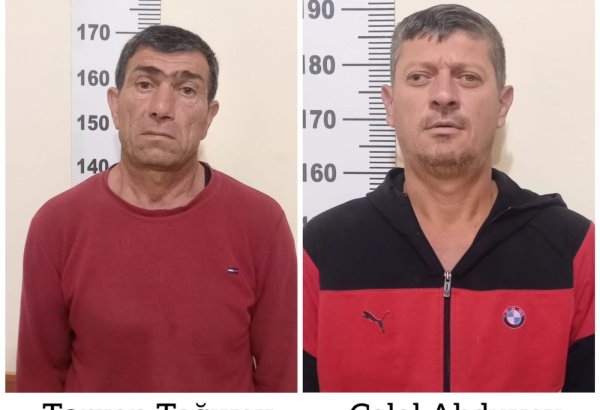 Yevlaxda 592 ədəd çətənə kolu əkən şəxslər saxlanılıblar